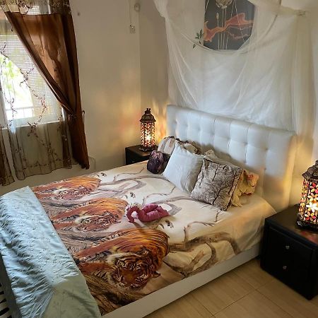 Panorama Villa 라 골레트 외부 사진